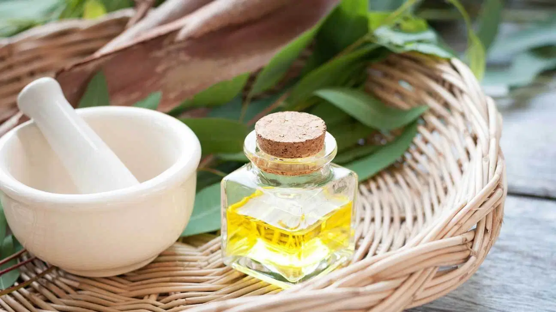 Therapeutic Eucalyptus Essential Oil Supercritical CO2 Eucalyptus Oil 