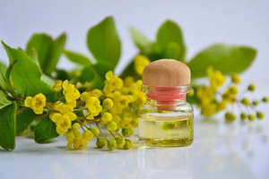 cosmetic-oil-3868594_640.jpg